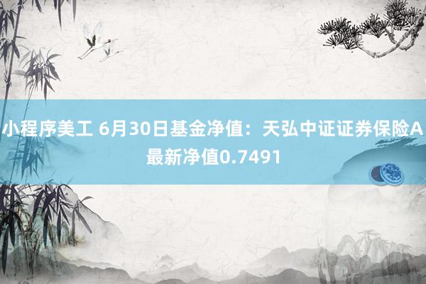 小程序美工 6月30日基金净值：天弘中证证券保险A最新净值0.7491