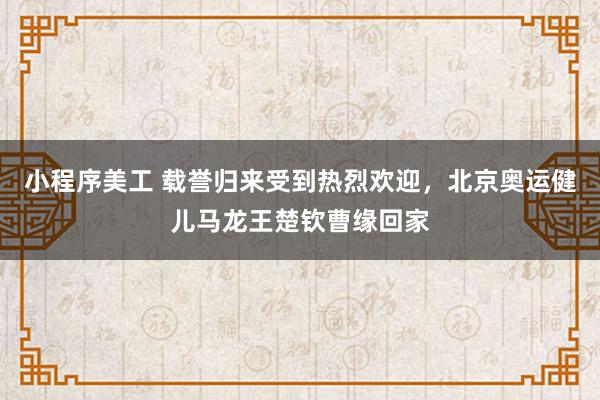 小程序美工 载誉归来受到热烈欢迎，北京奥运健儿马龙王楚钦曹缘回家